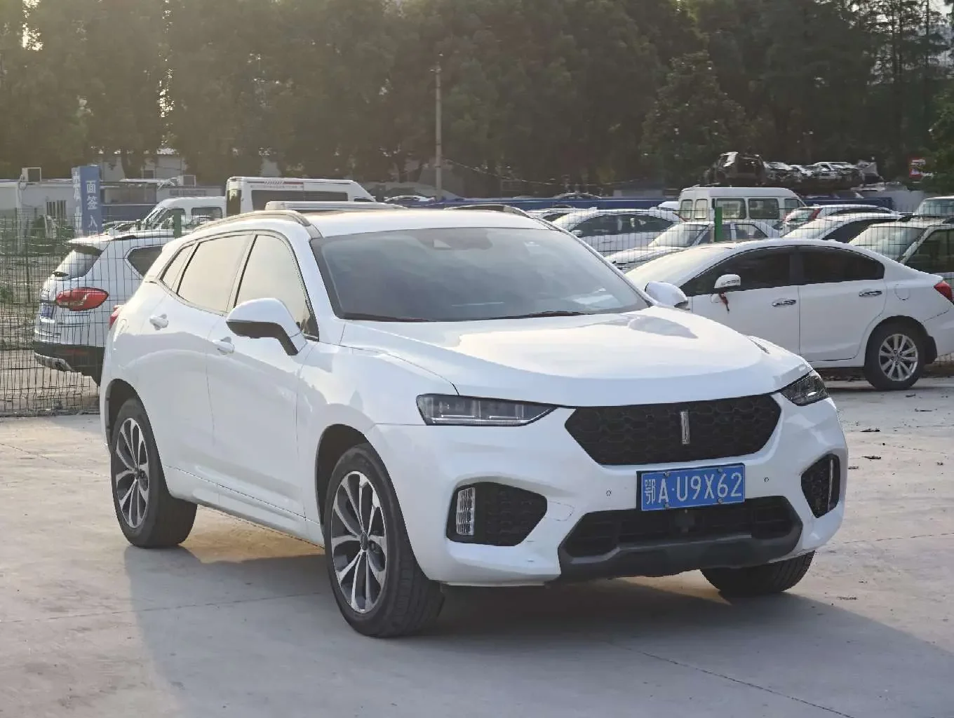 Wey Wei brand VV7