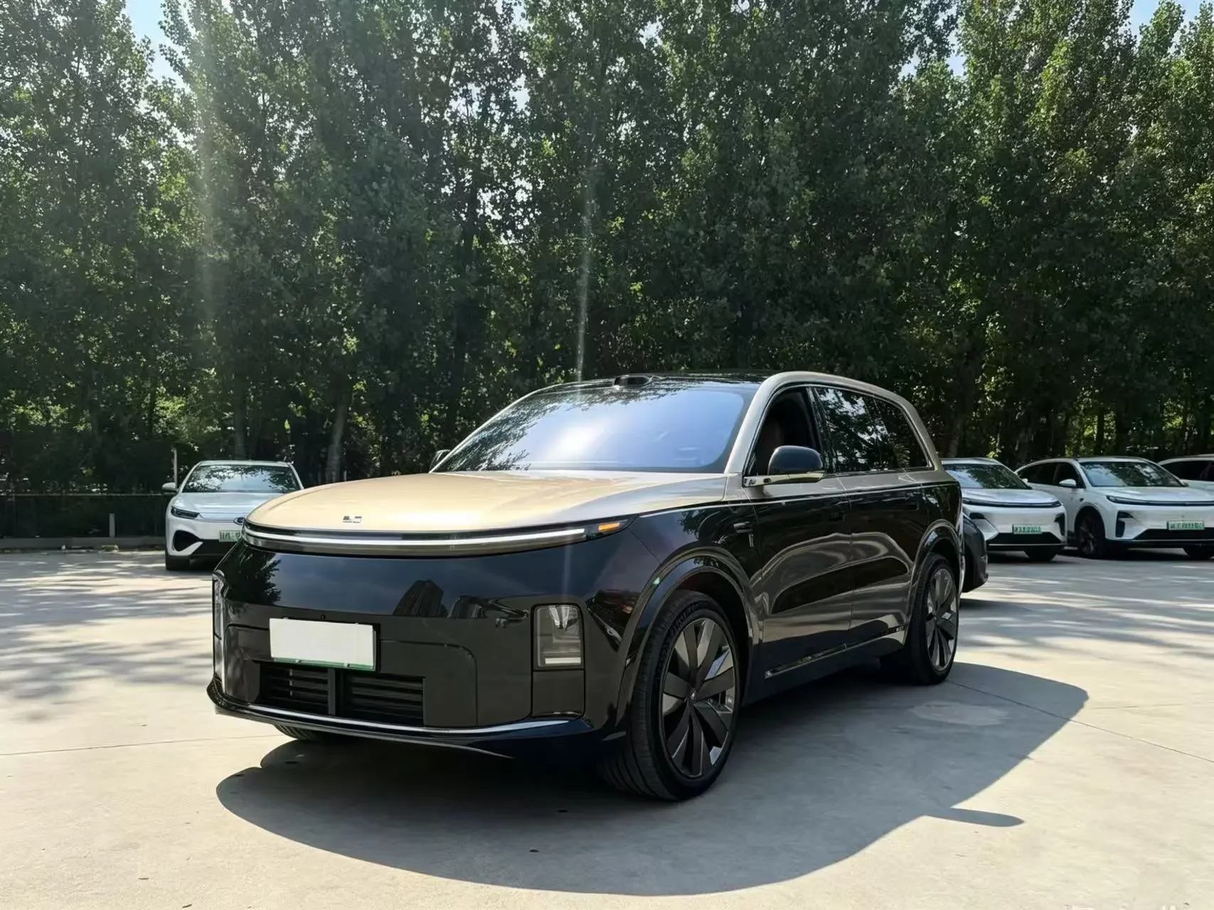 Lixiang L9