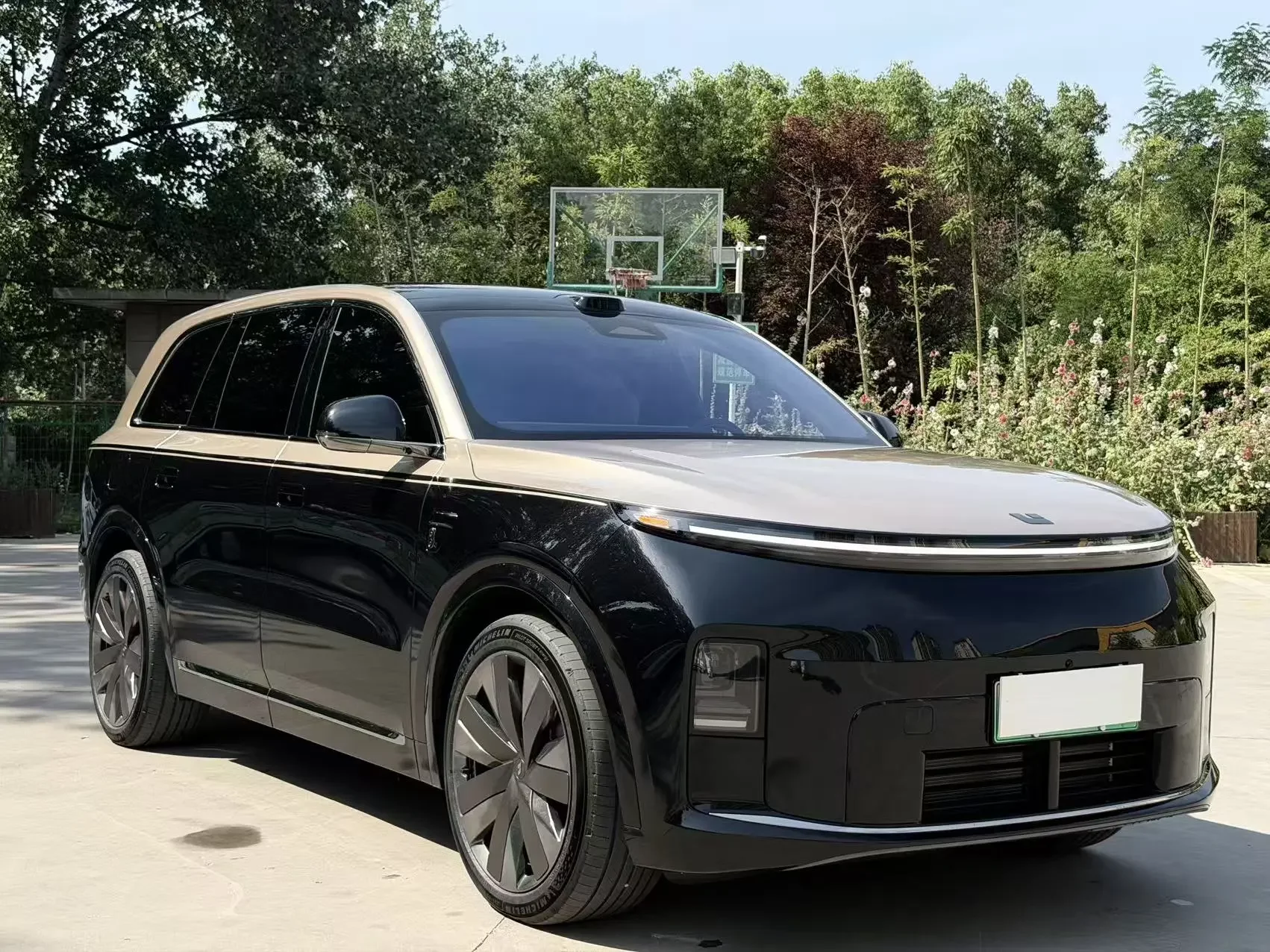 Lixiang L9
