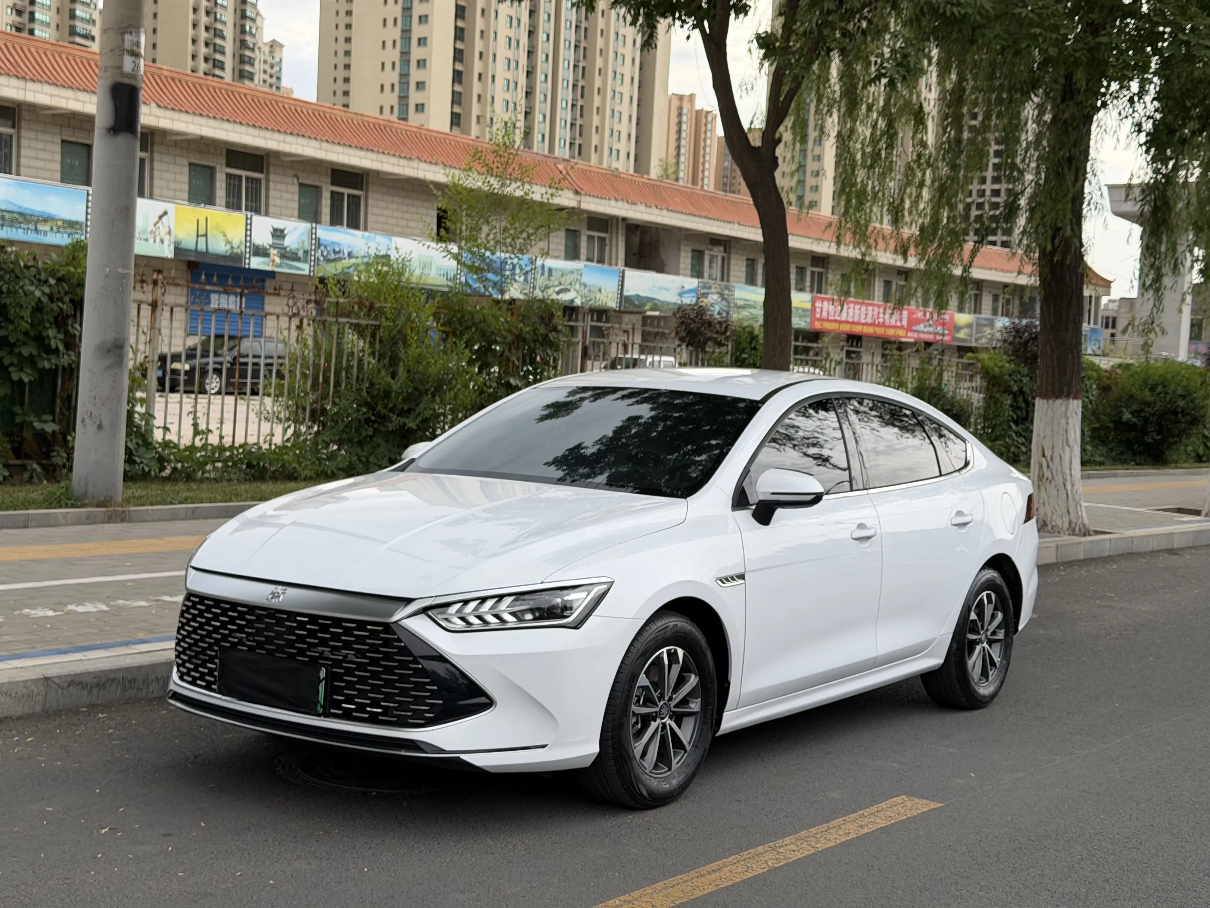 BYD Qin PLUS DM