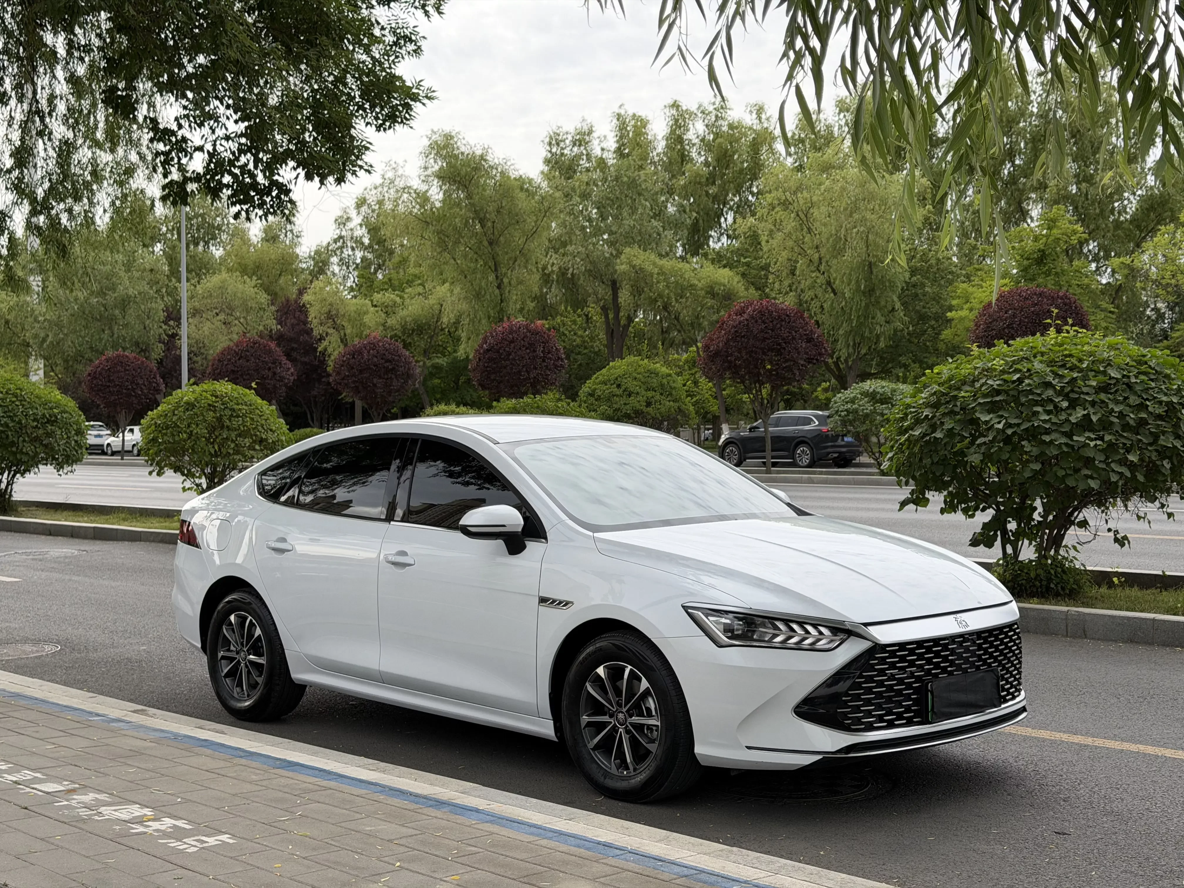 BYD Qin PLUS DM