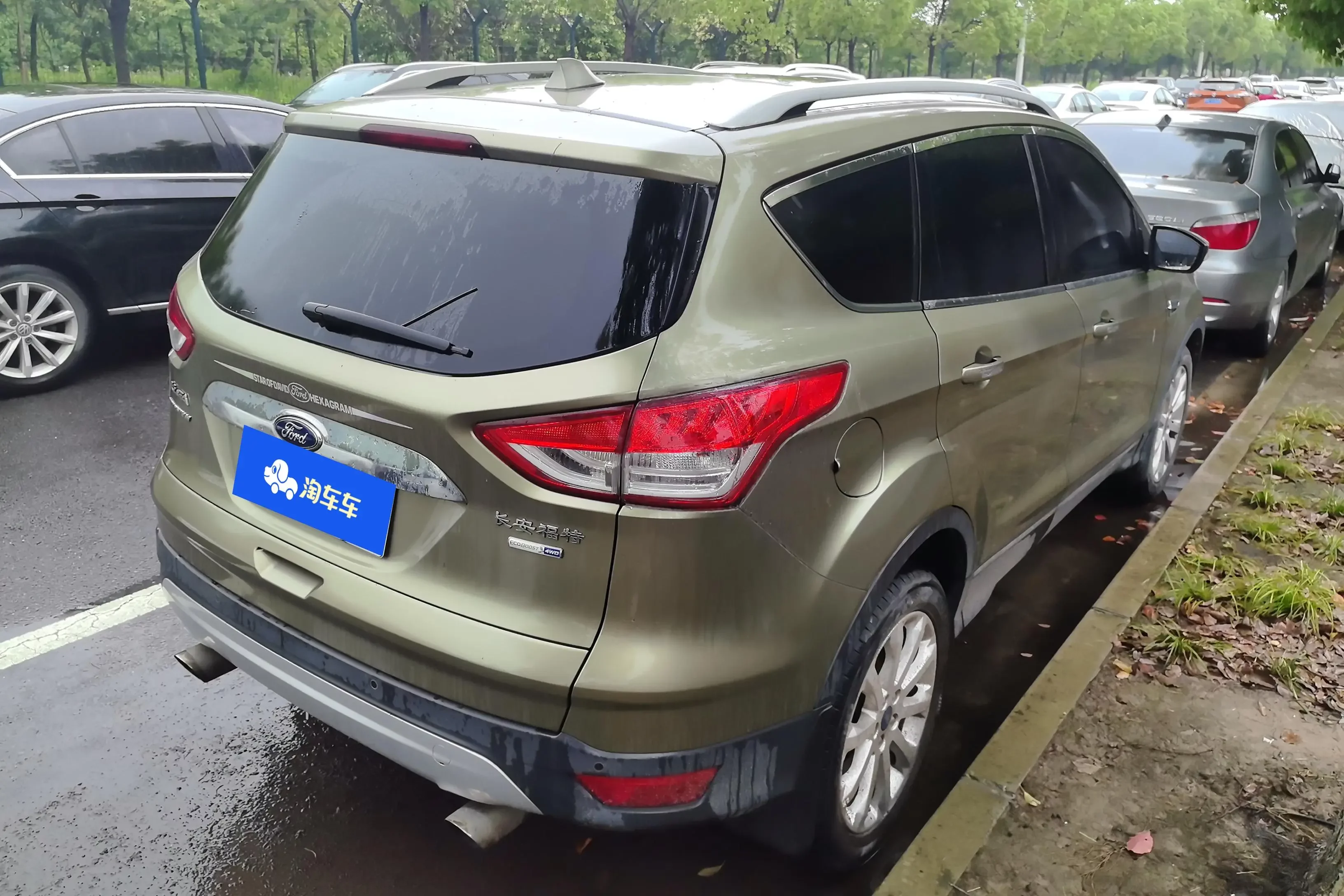 Ford wing tiger
