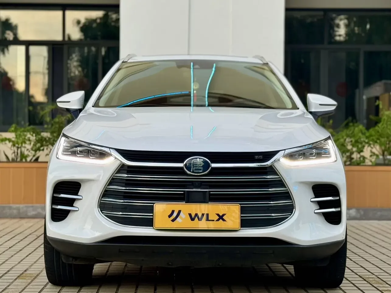 BYD Tang DM
