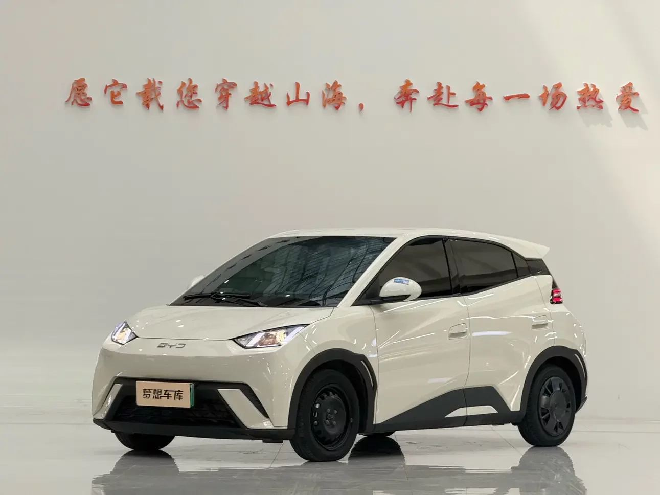 BYD seagull