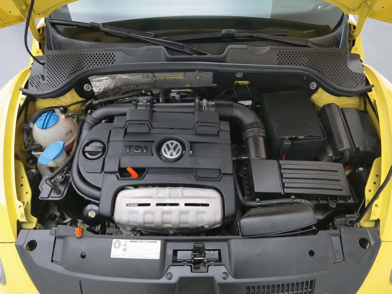 Volkswagen Beetle