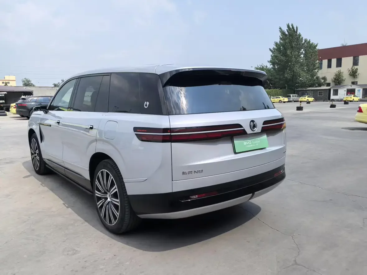 Denza Tengzhong N9 DM