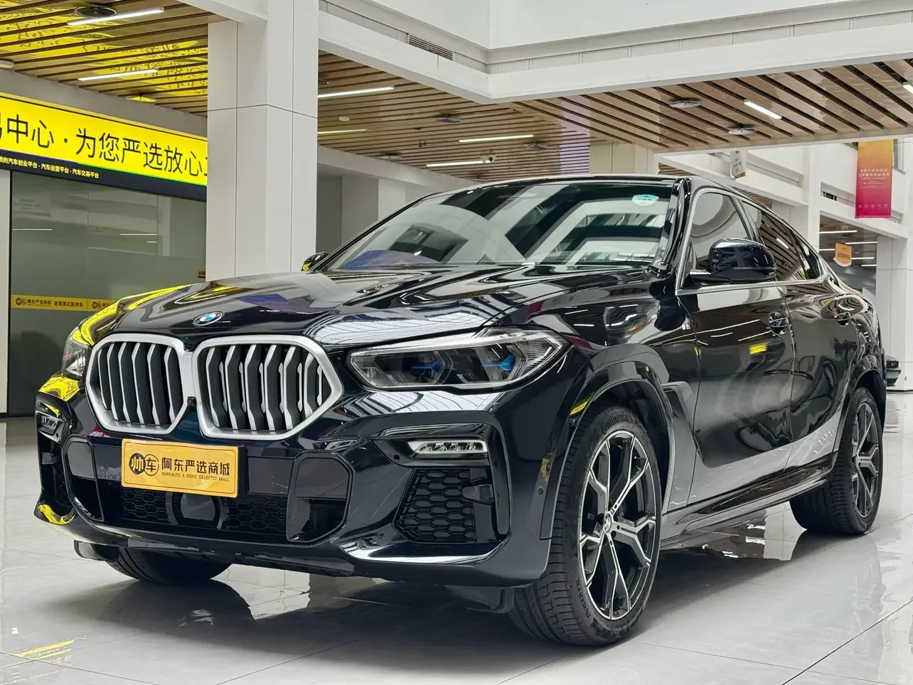 BMW X6