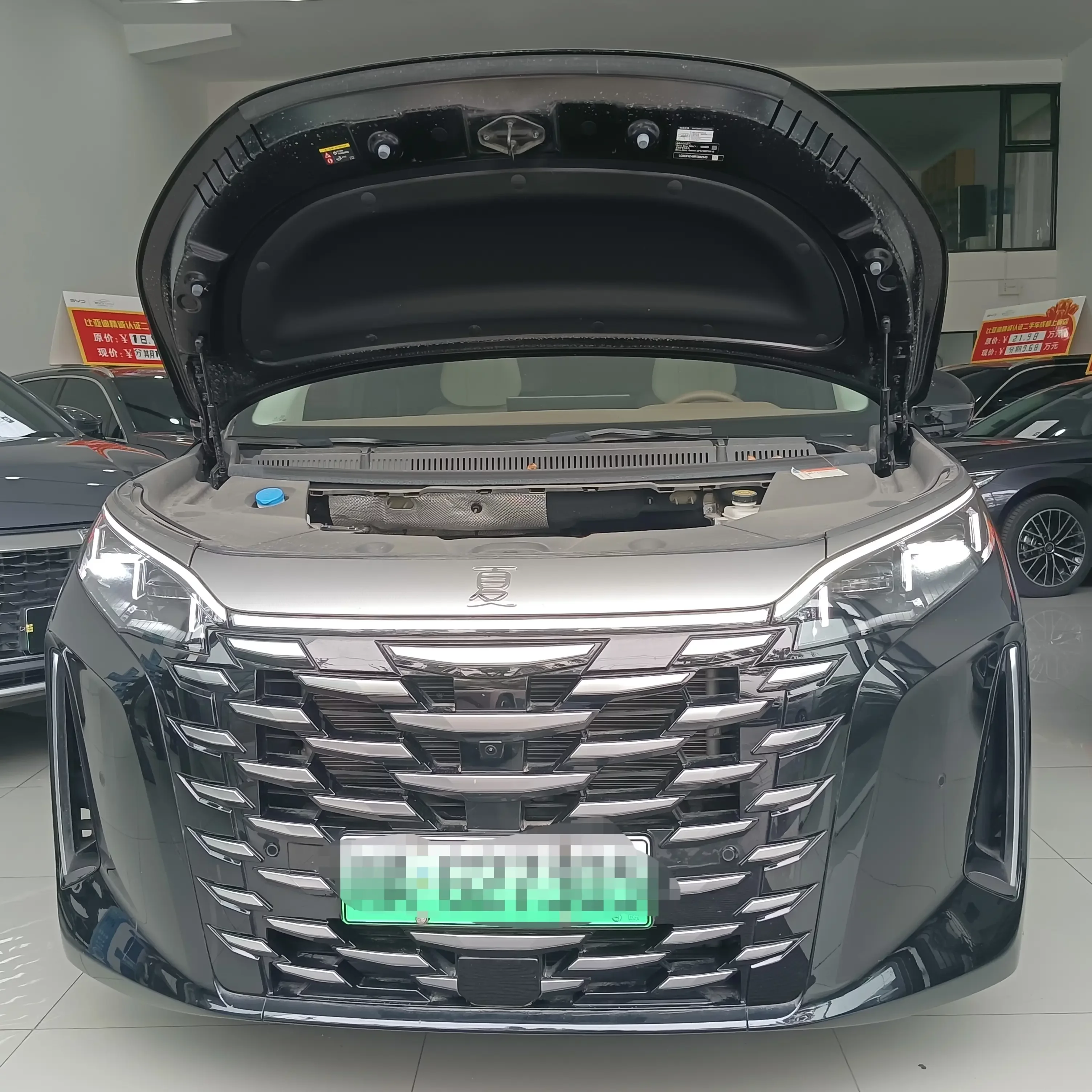 BYD summer