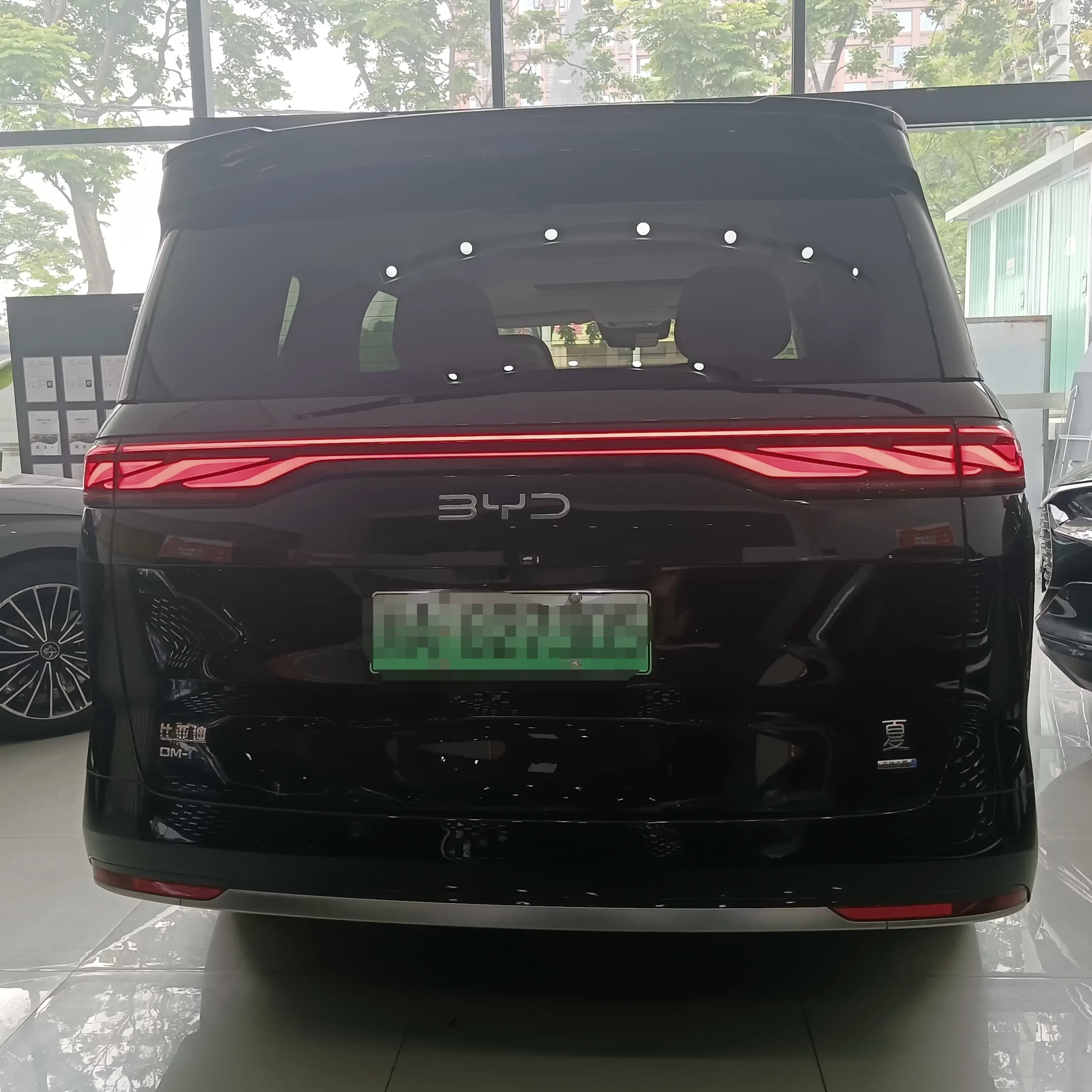 BYD summer