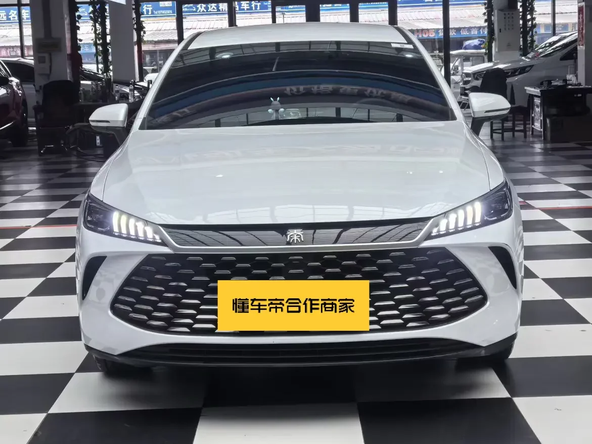 BYD Qin PLUS DM