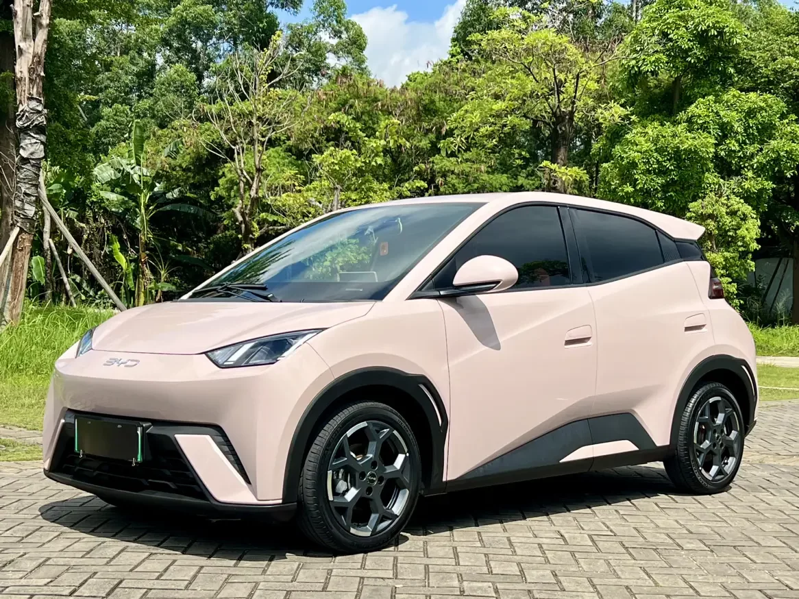 BYD seagull