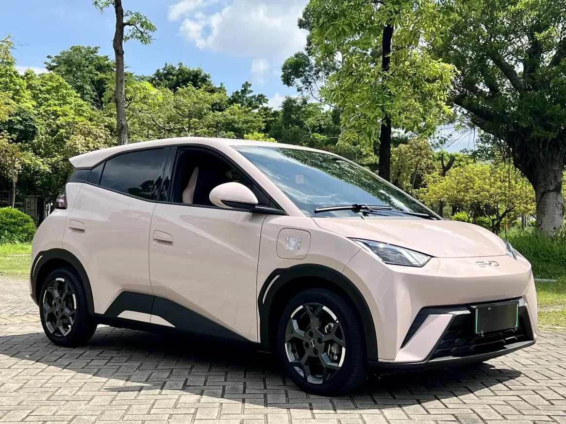 BYD seagull