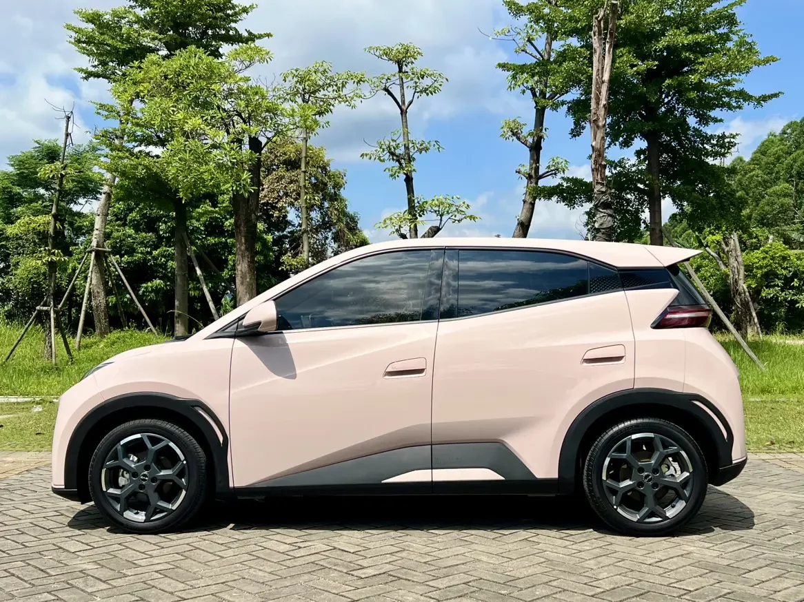 BYD seagull