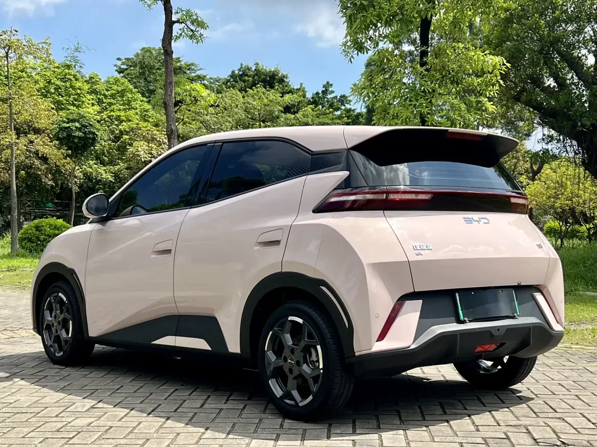 BYD seagull