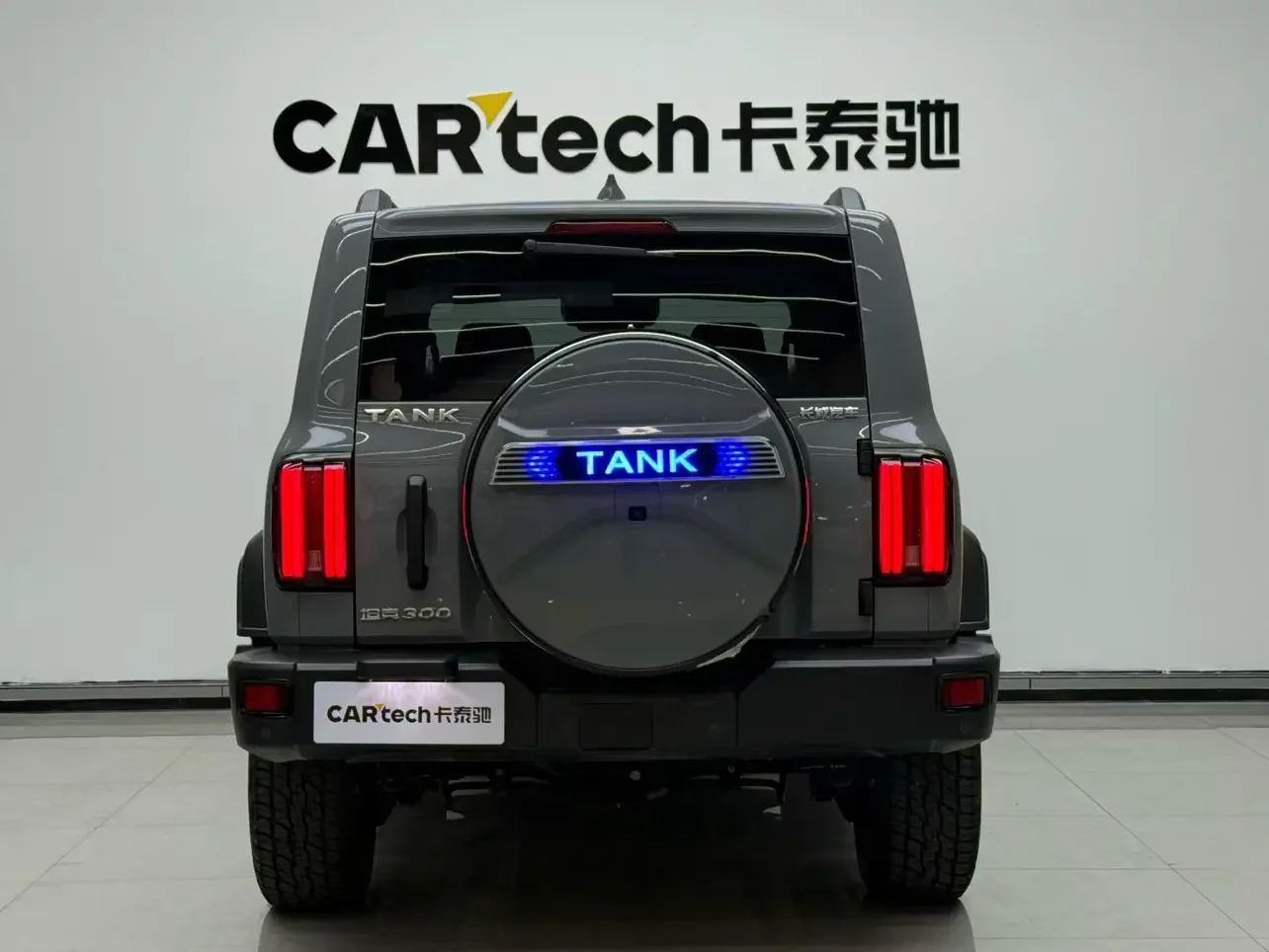 Tank 300