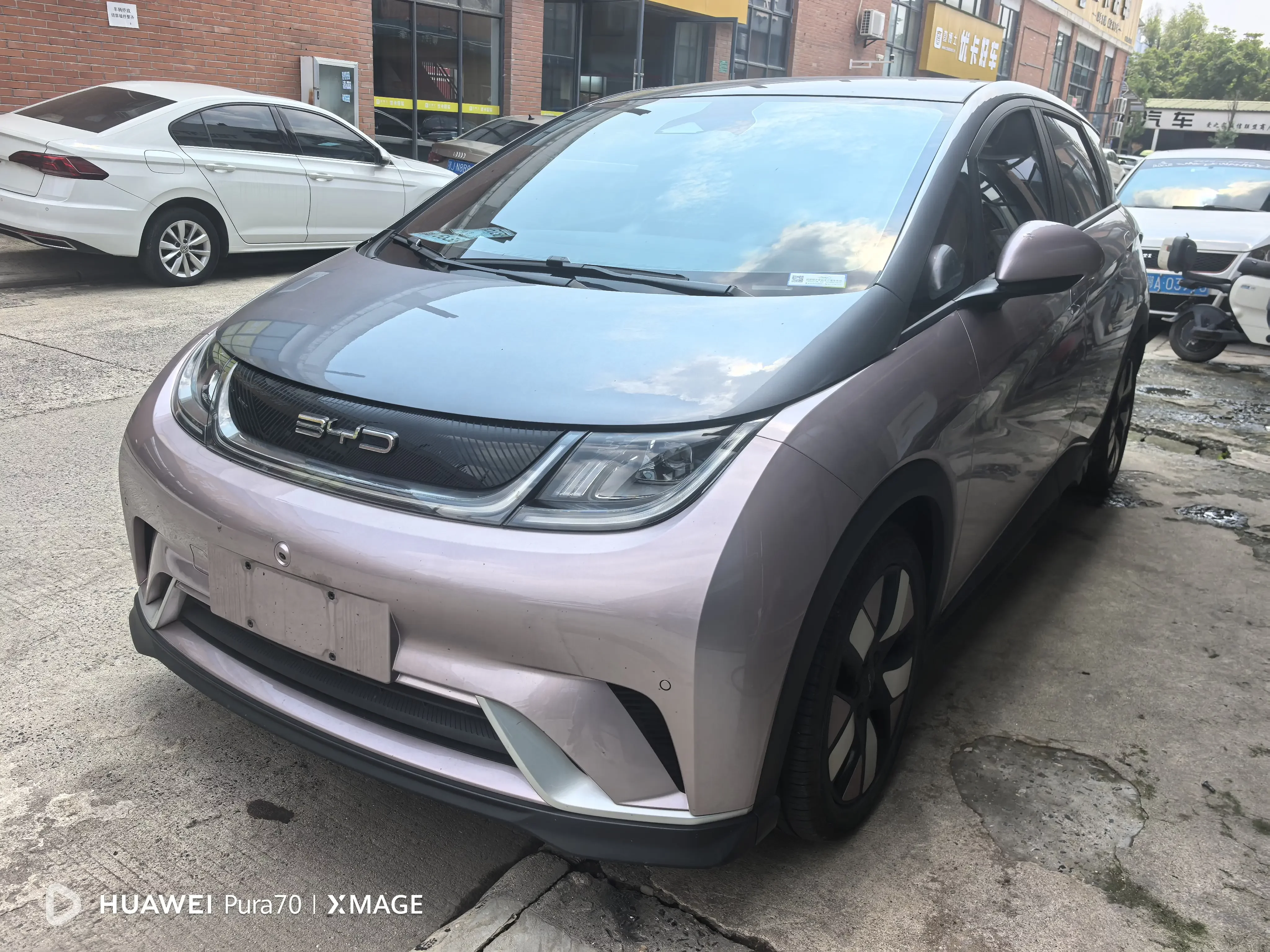 BYD dolphin