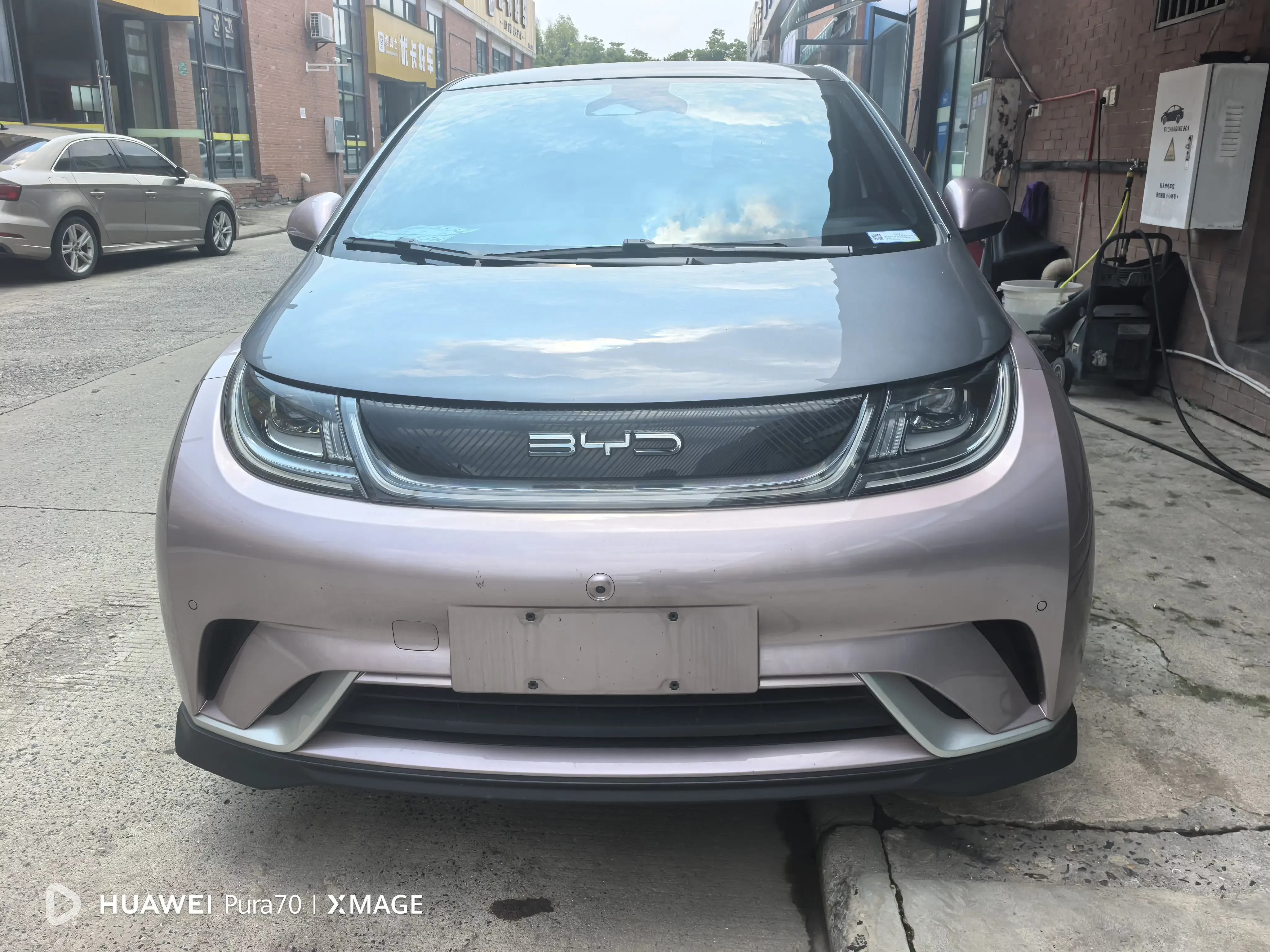 BYD dolphin