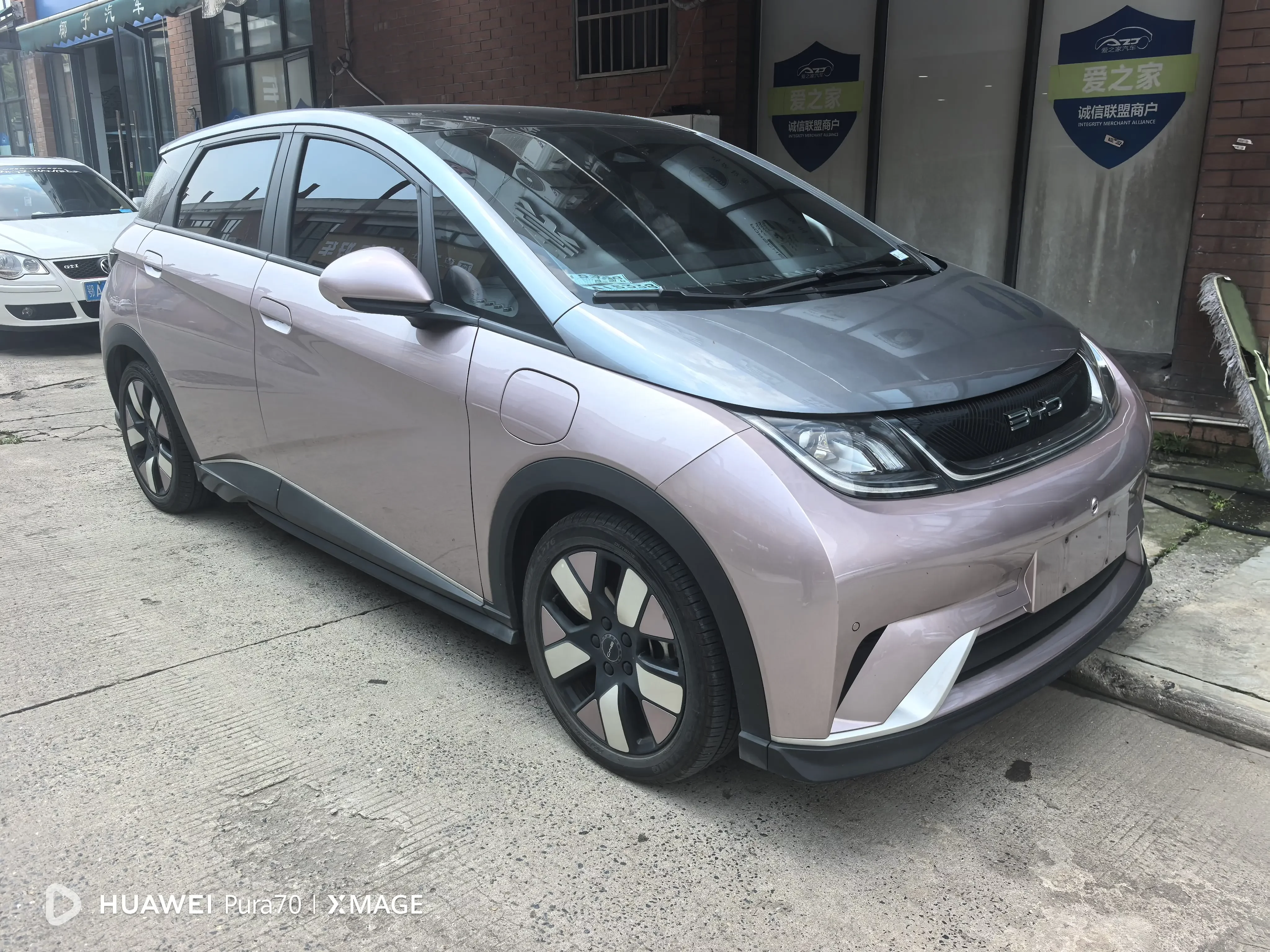 BYD dolphin