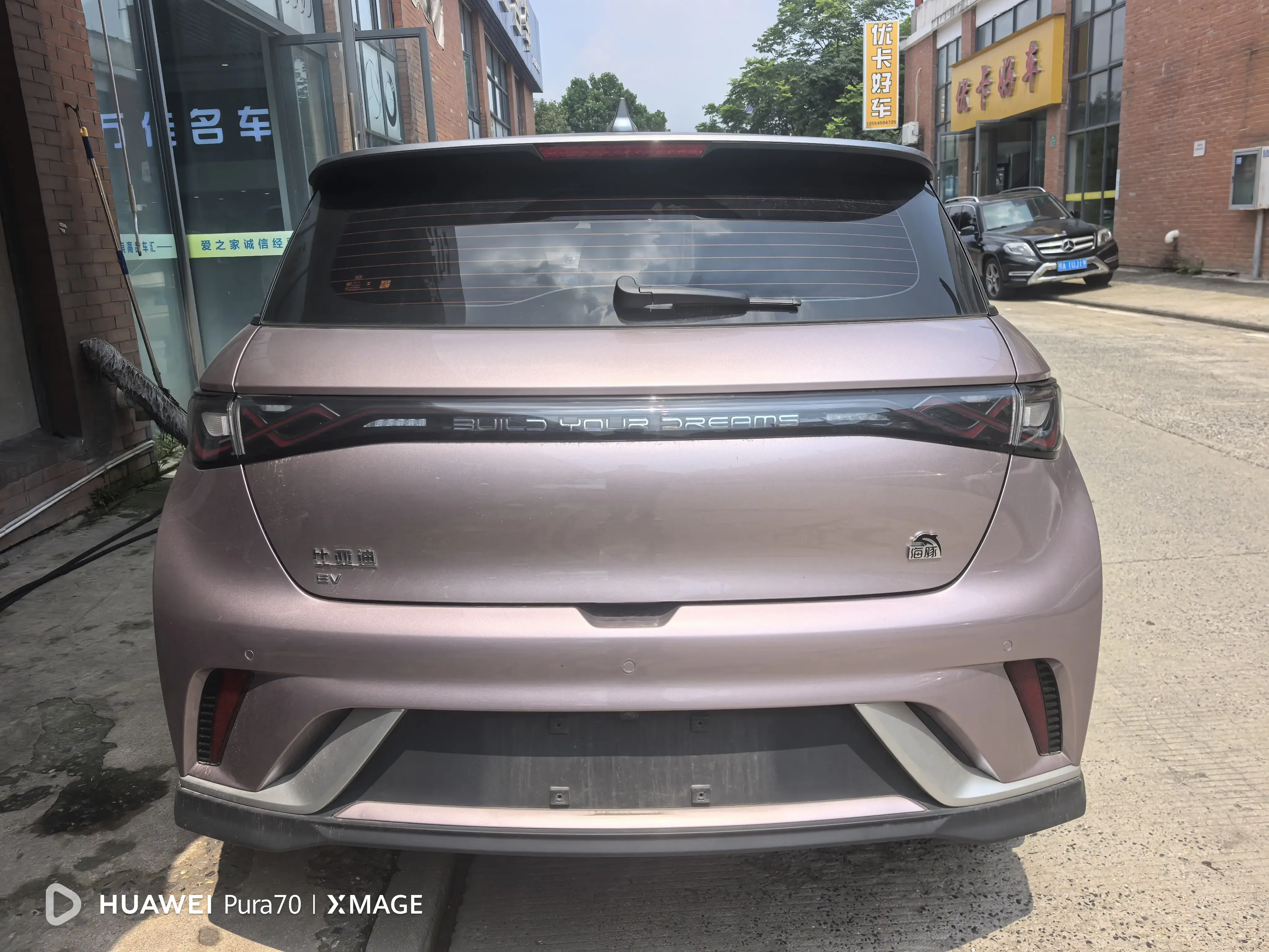 BYD dolphin