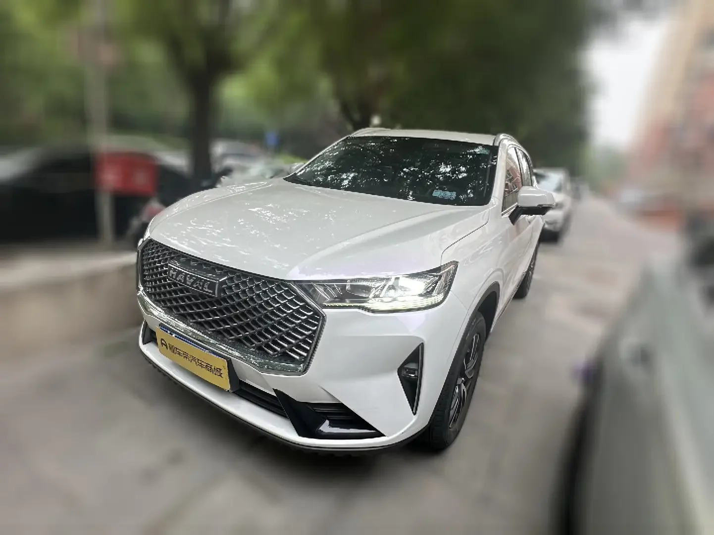Haval H6