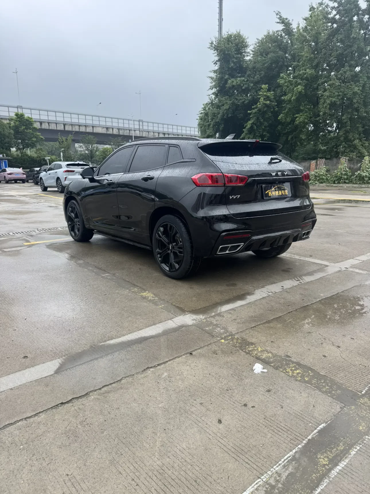 Wey Wei brand VV7