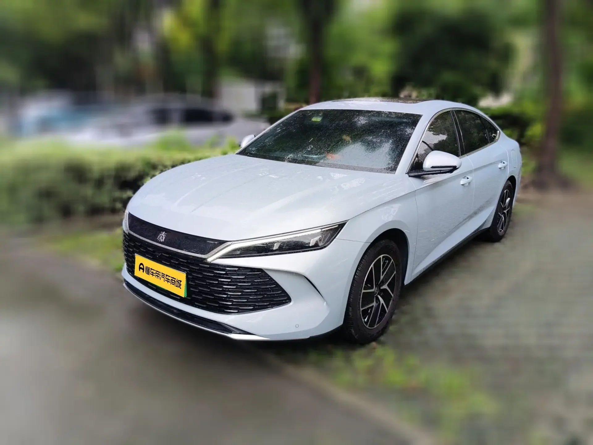BYD Qin L DM