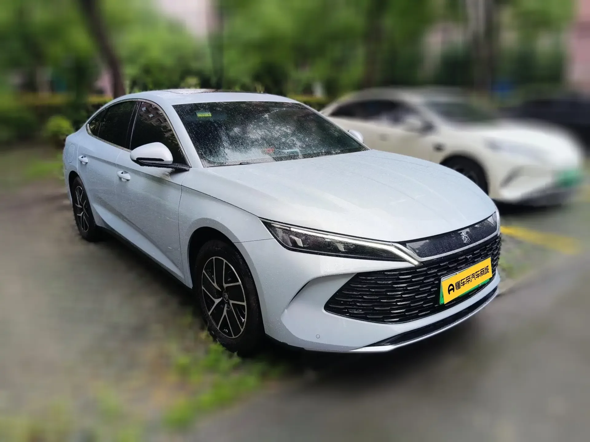 BYD Qin L DM