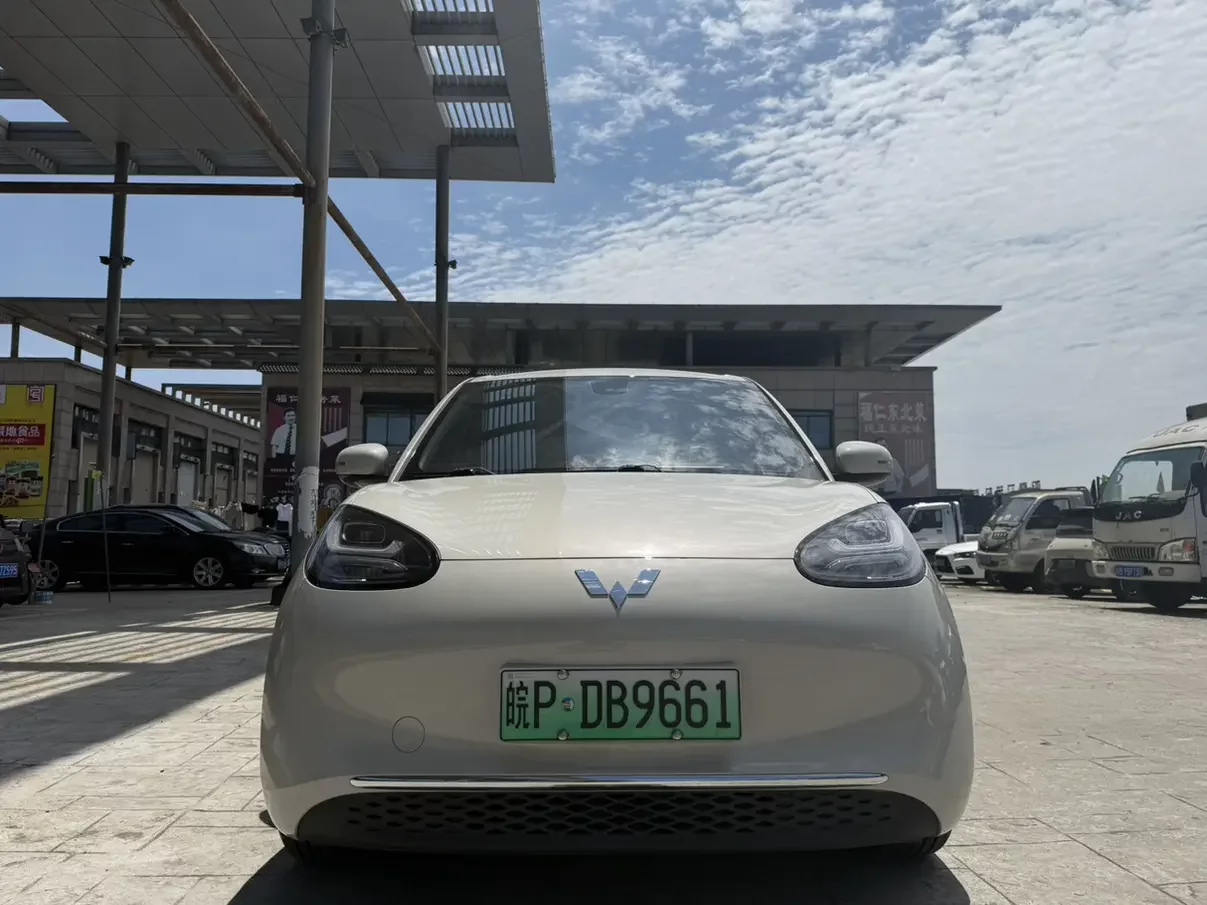 Wuling Bingo