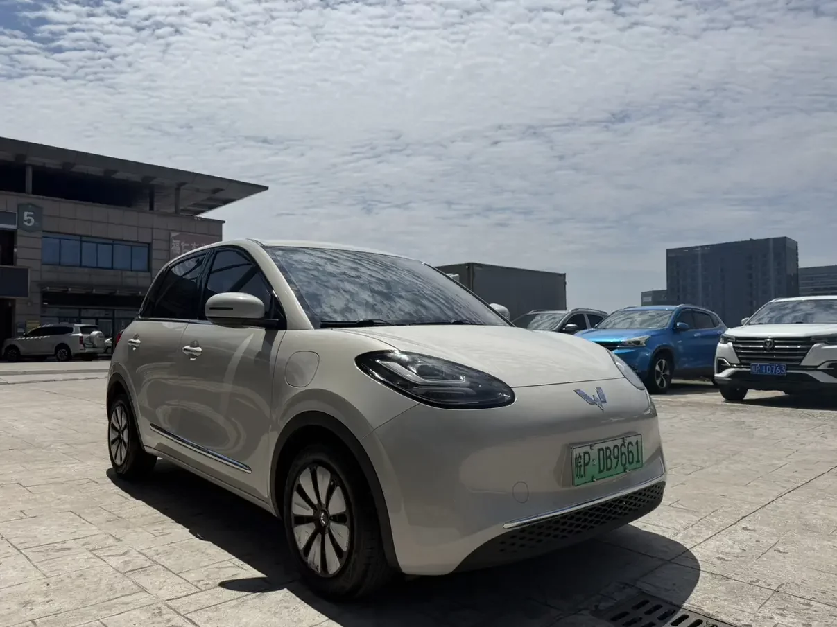 Wuling Bingo