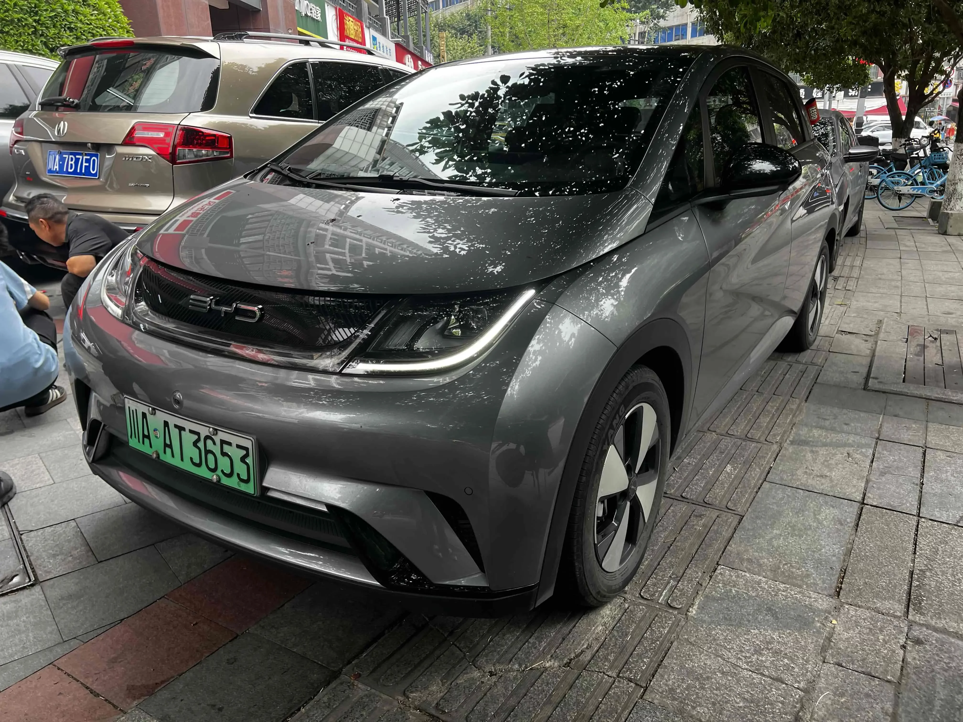 BYD dolphin