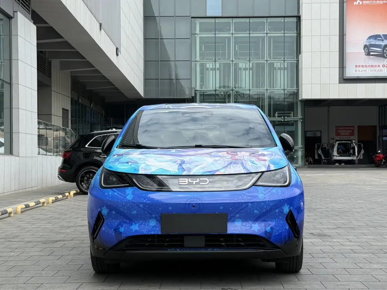 BYD dolphin