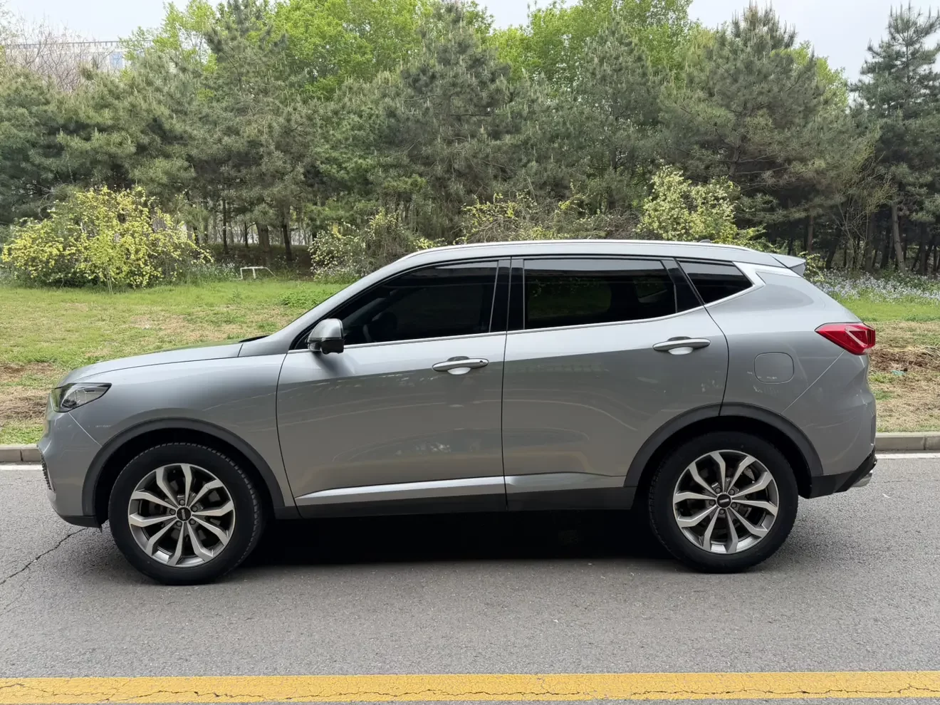 Wey Wei brand VV6