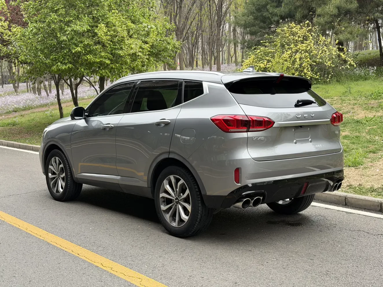 Wey Wei brand VV6