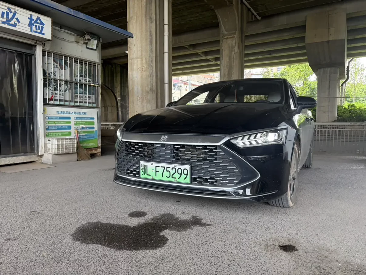 BYD Qin PLUS DM