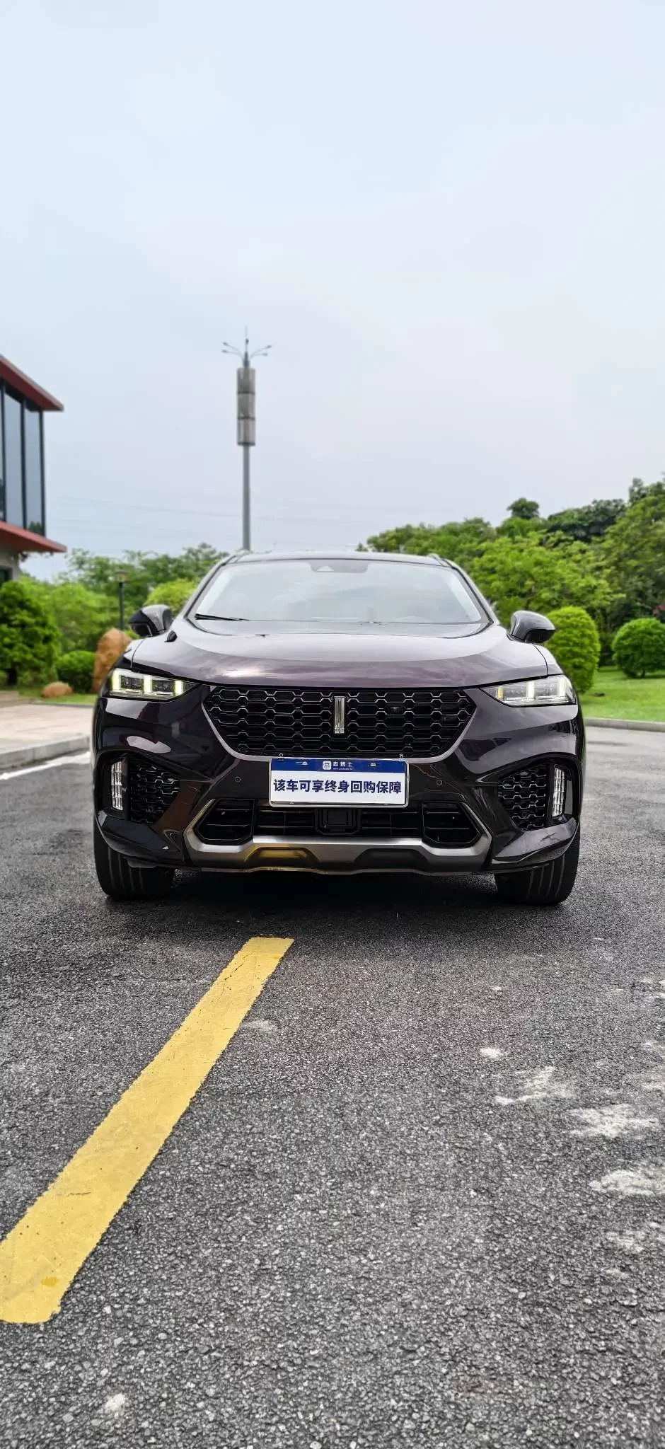 Wey Wei brand VV7
