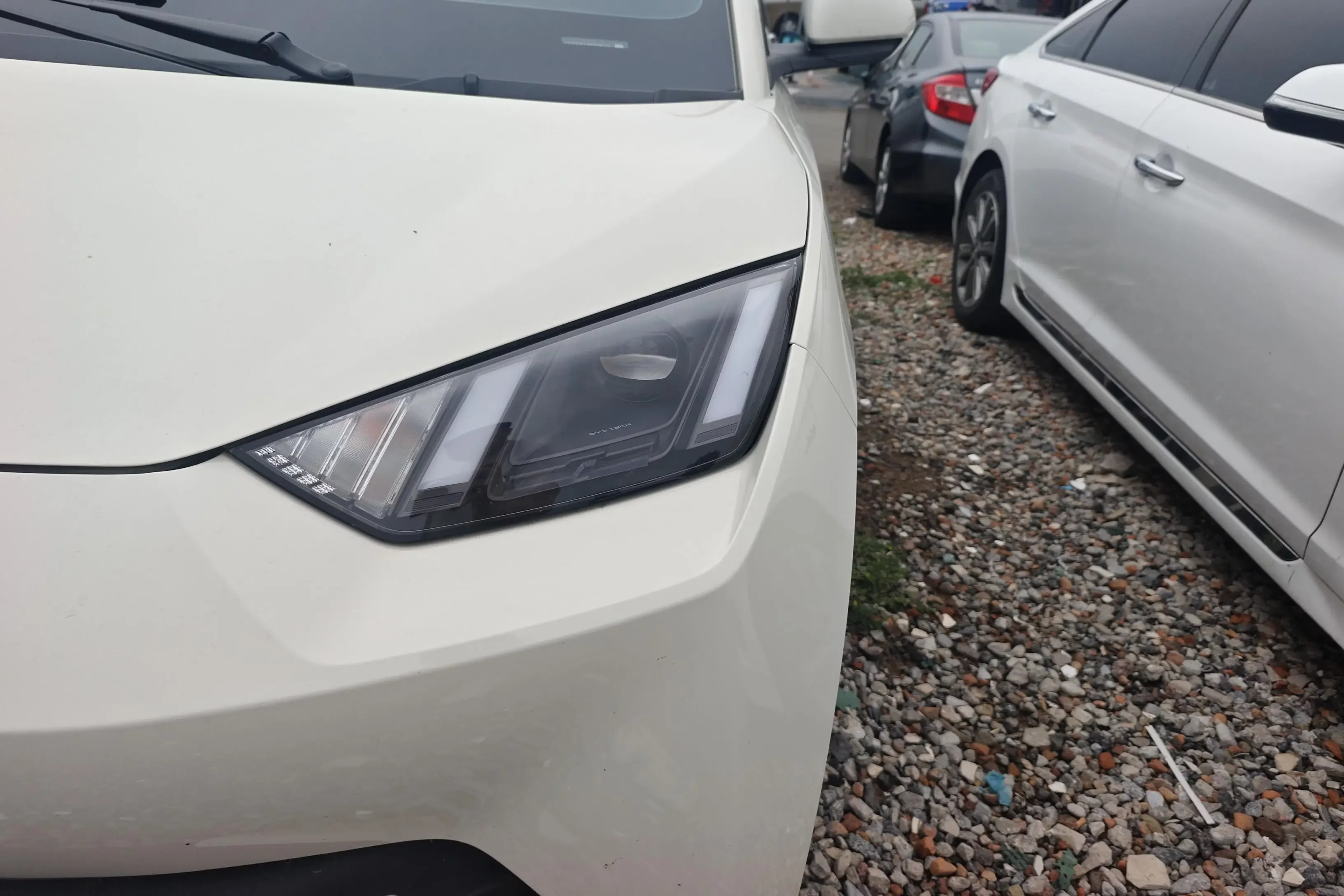BYD seagull