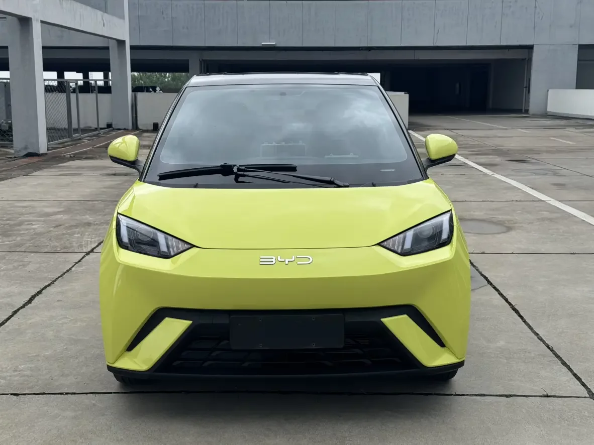 BYD seagull