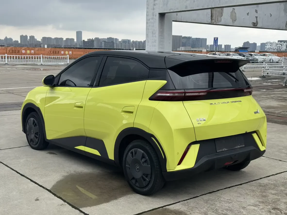 BYD seagull