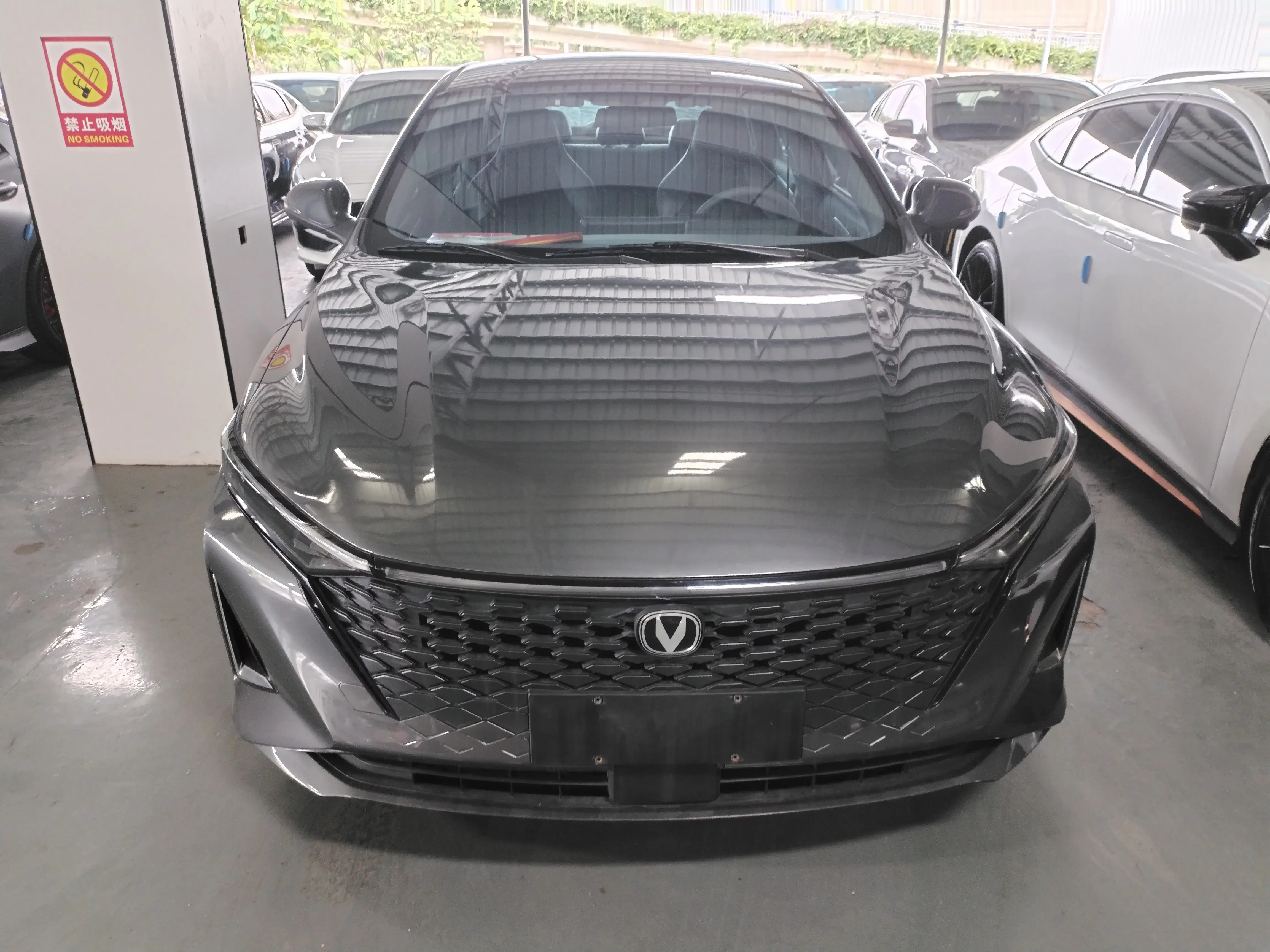 Changan Ruicheng PLUS  из Китая