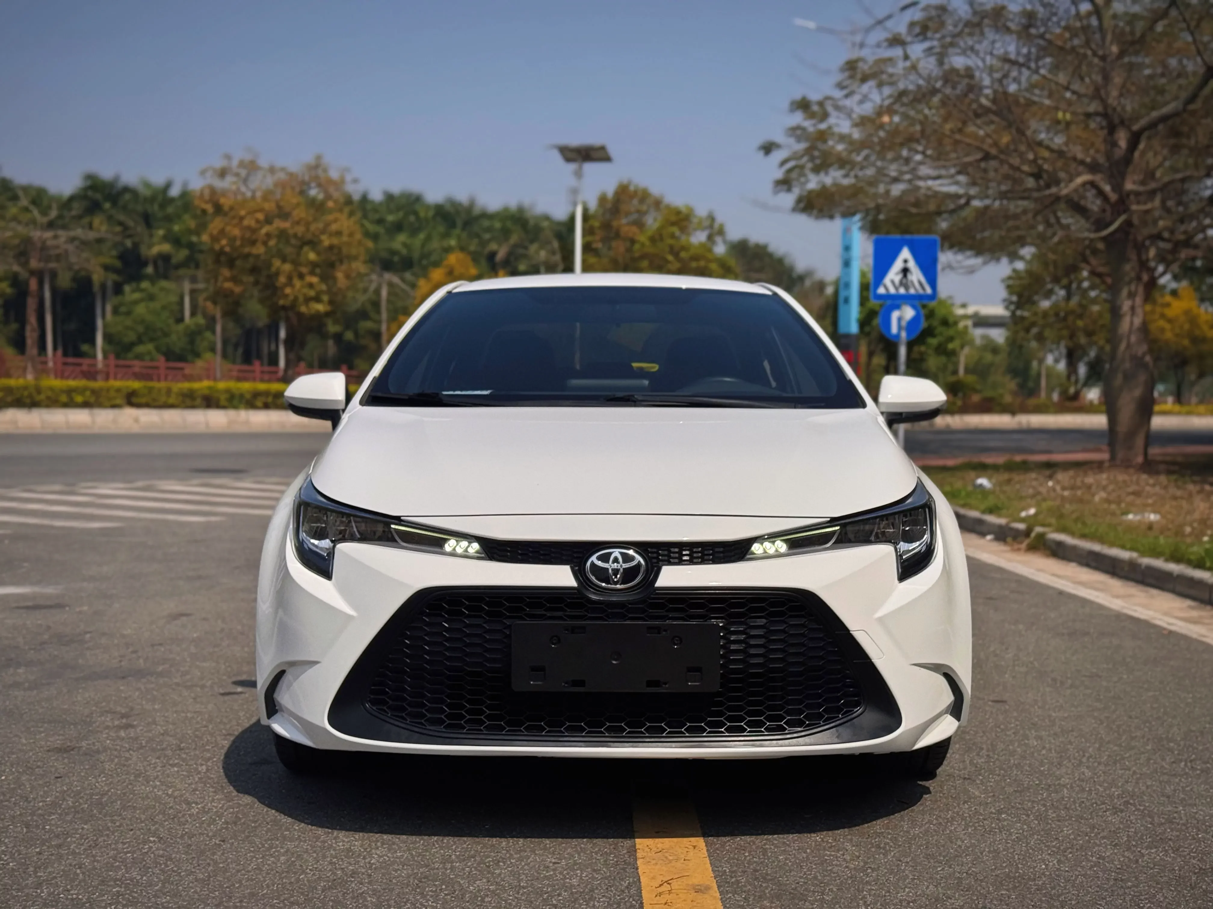 Toyota Levin