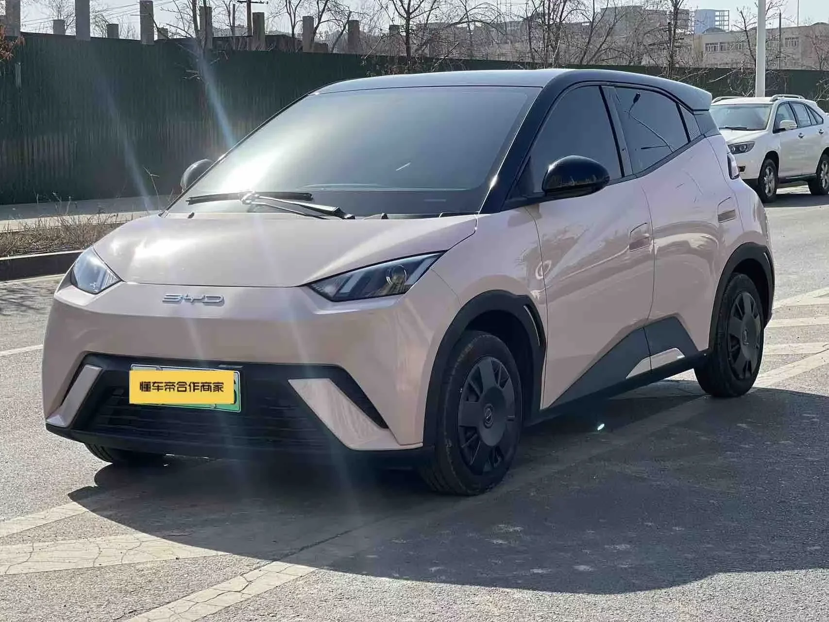 BYD seagull