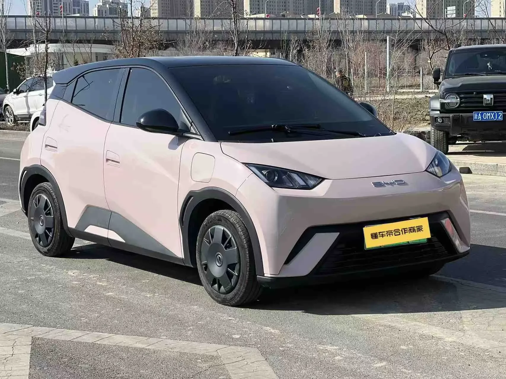 BYD seagull