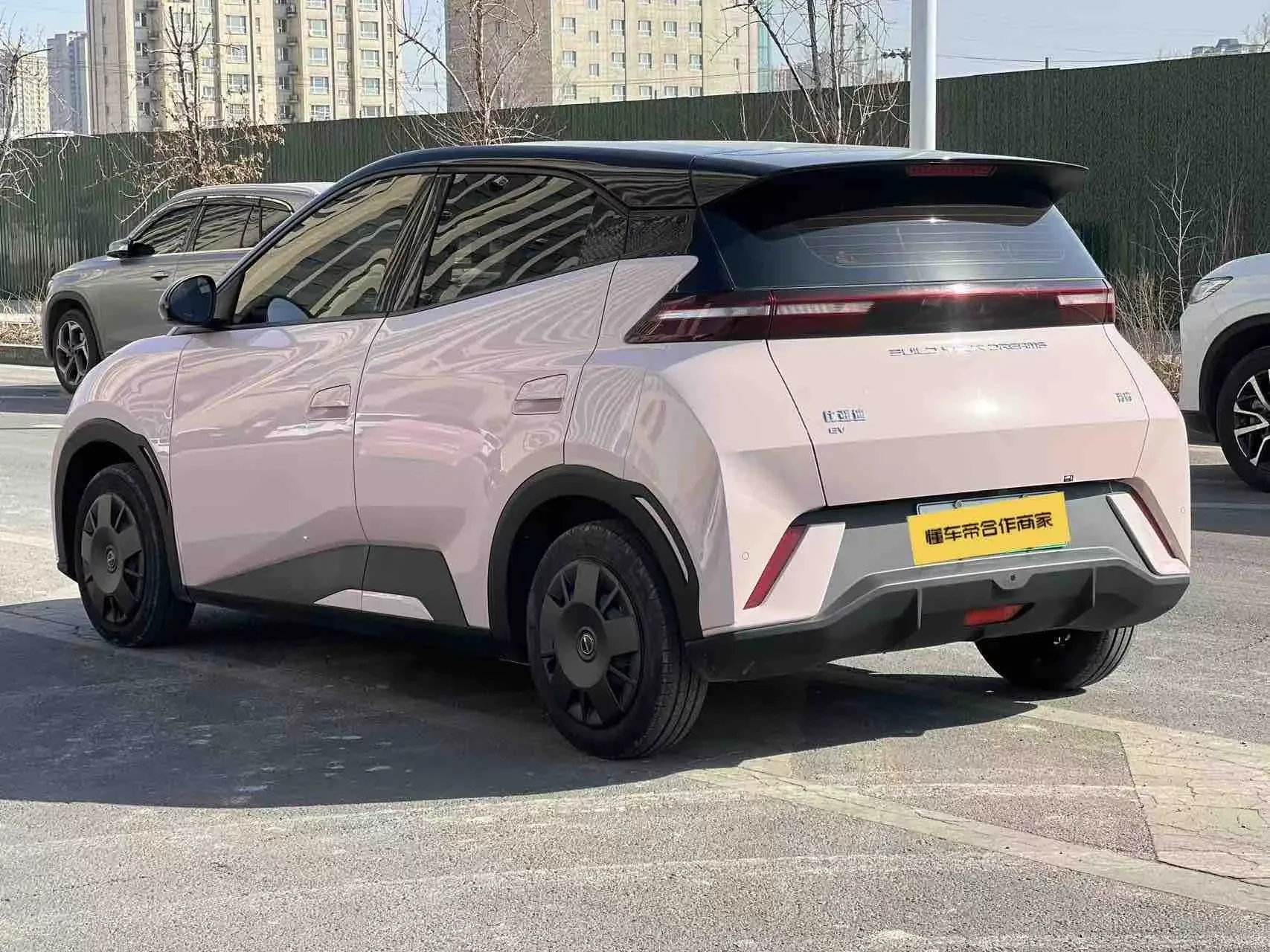 BYD seagull