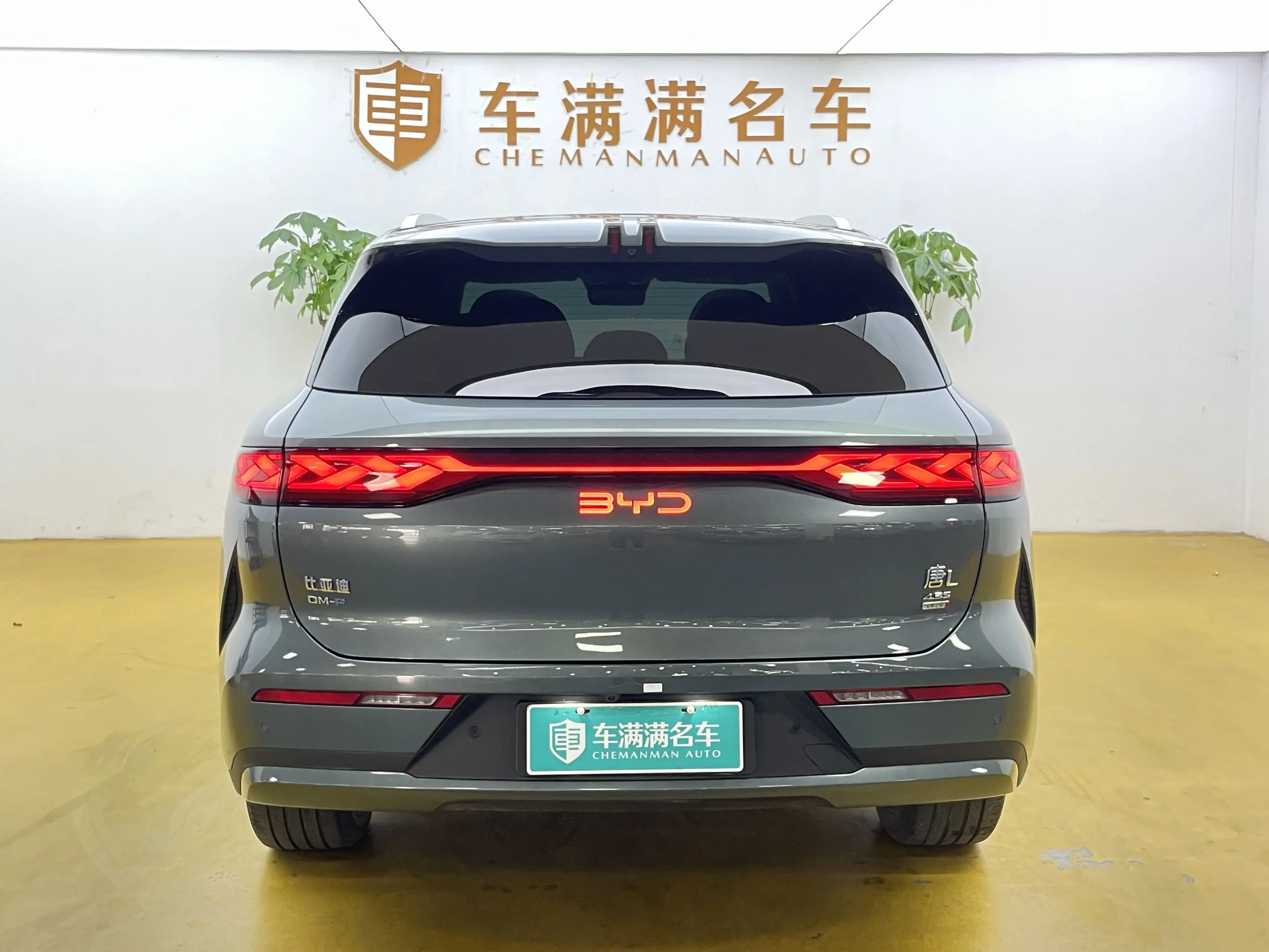 BYD Tang L DM