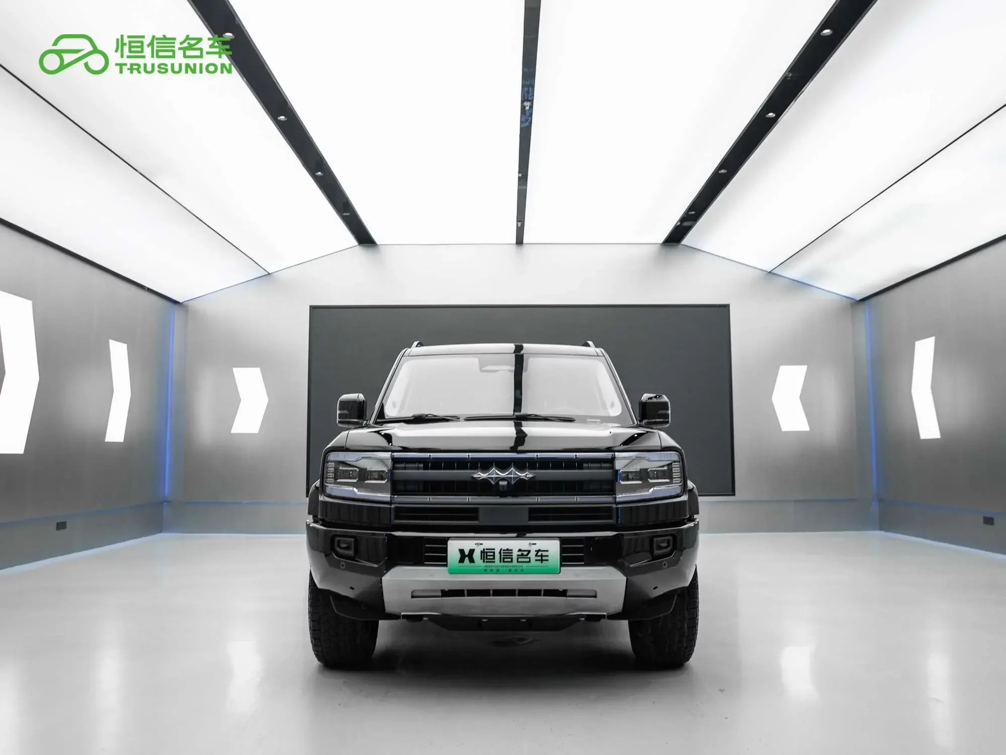 BYD Leopard Leopard 5