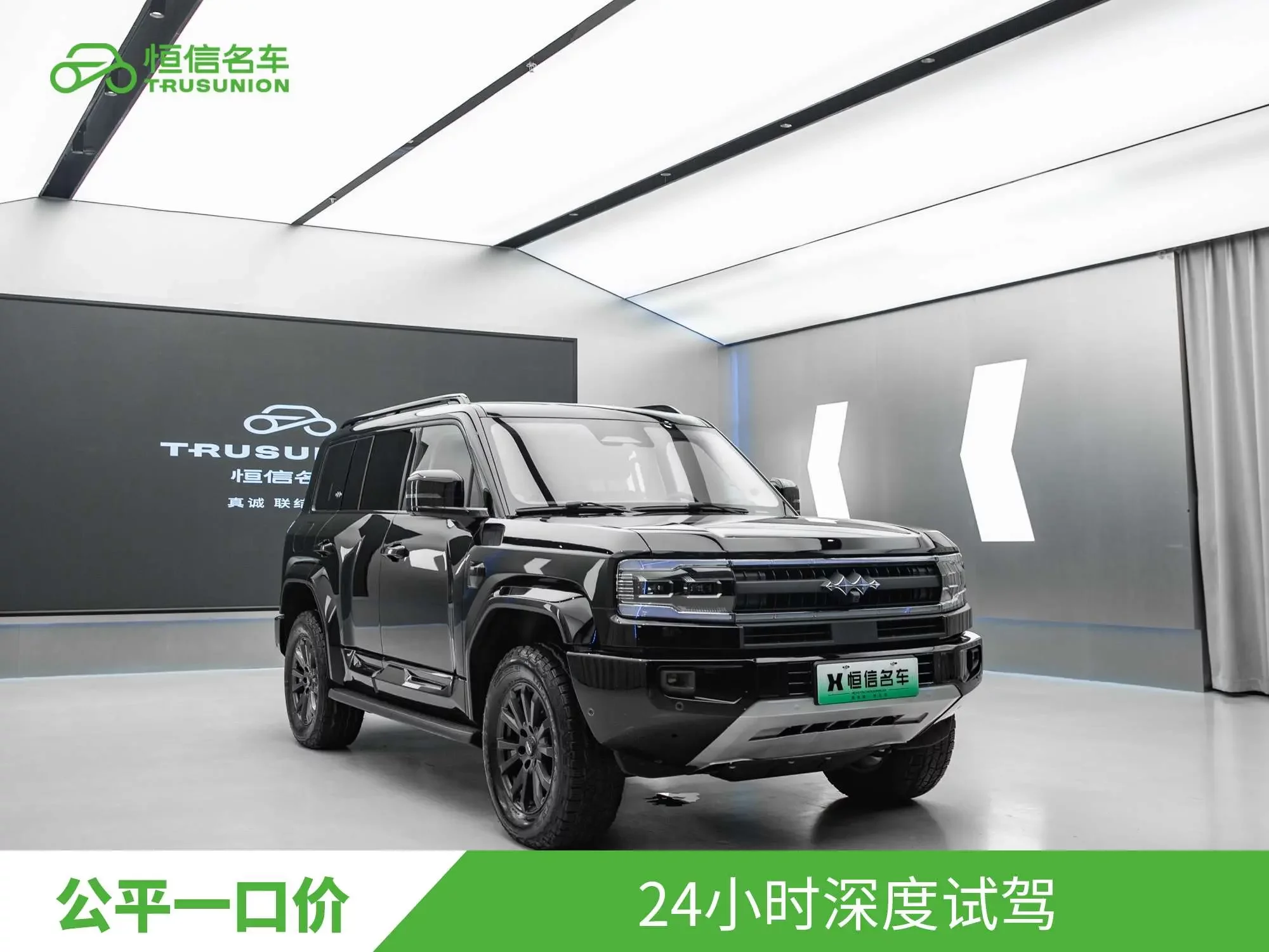 BYD Leopard Leopard 5