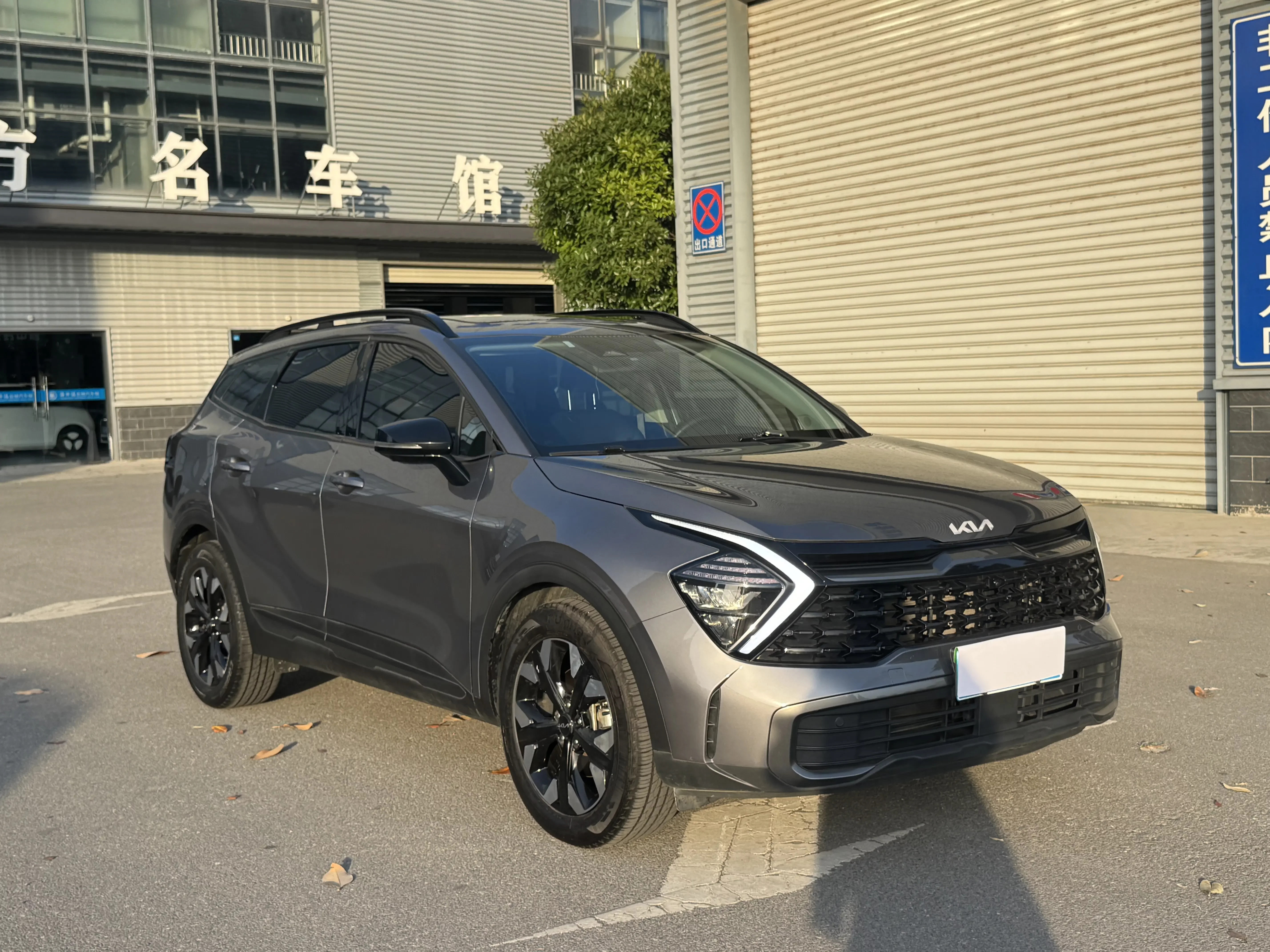 Kia Lion Platinum Expands the Boundary