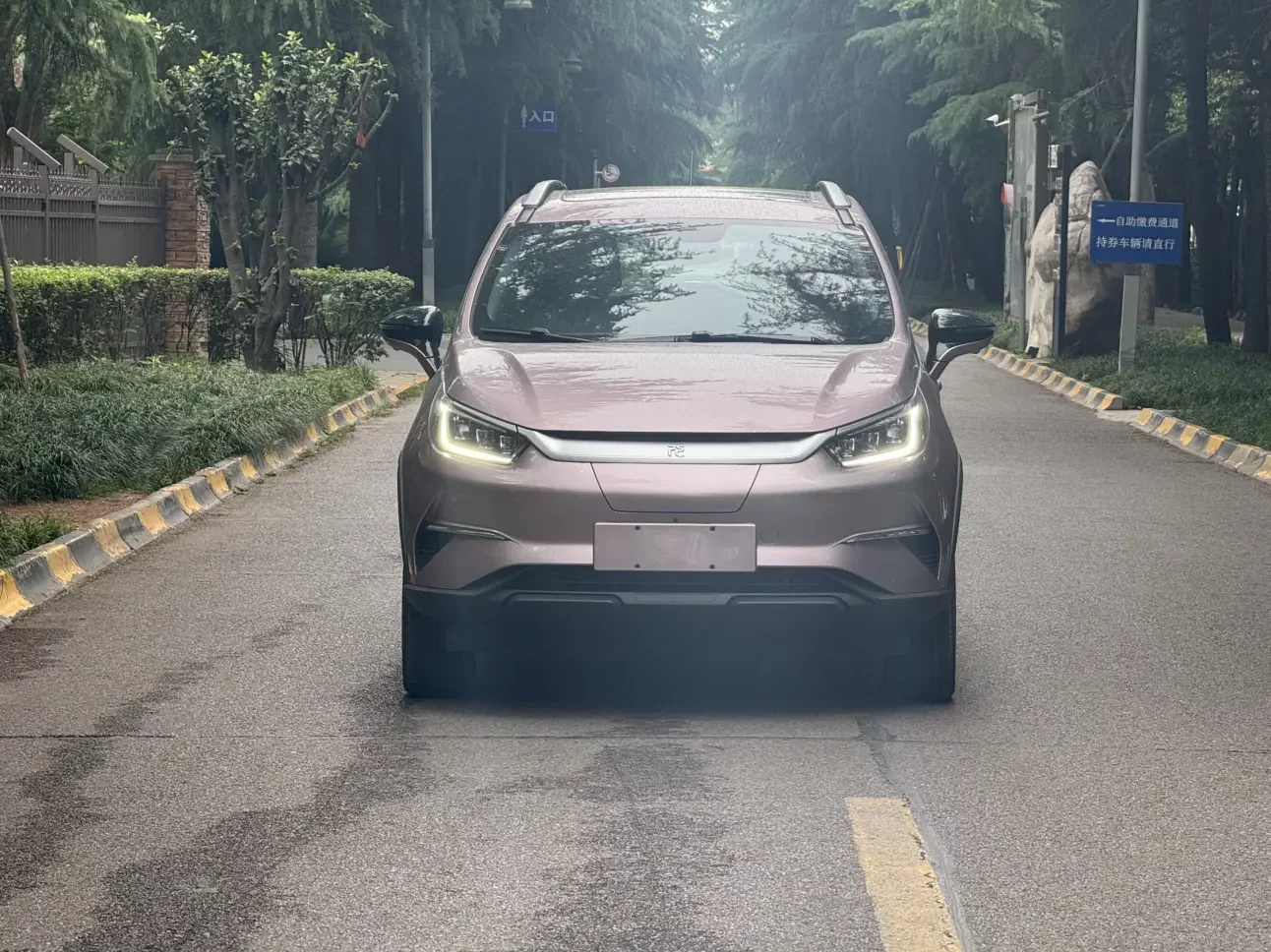 BYD Yuan Pro