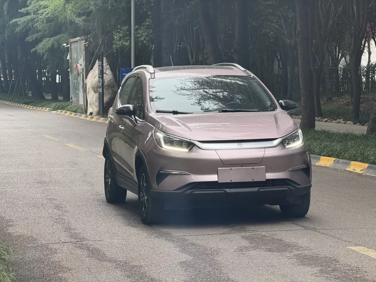 BYD Yuan Pro