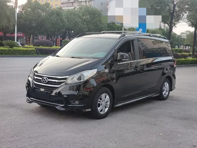 Datong Maxus G10
